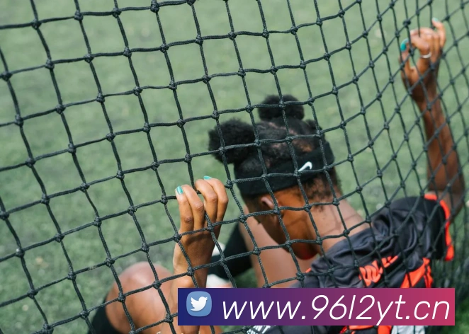 星空体育在线平台登录平台生态图